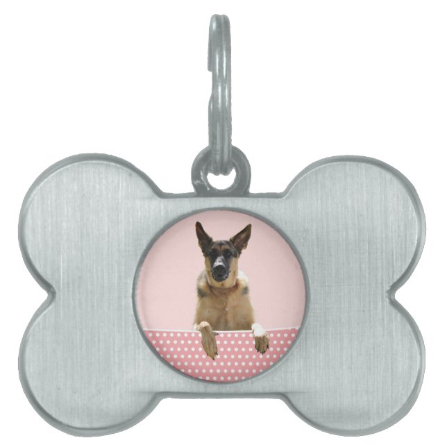 ジャーマンシェパードドッグピンク水玉模様 ペットネームタグ (正面)