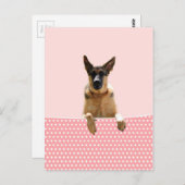 ジャーマンシェパードドッグピンク水玉模様 ポストカード (正面/裏面)