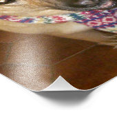 ジャーマンシェパードドッグブラック&タン無条件の愛 フォトプリント (角)