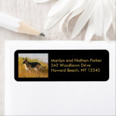 ジャーマンシェパードドッグ差出人住所ラベル ラベル (インサイチュ)