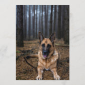 ジャーマンシェパードバー メニュー (裏面)