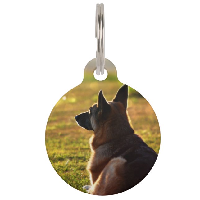 ジャーマンシェパードペットロス記念ペットタグ ペット　ネームタグ (正面)