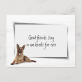 ジャーマンシェパードペット悔やみや弔慰ロス ポストカード (正面)