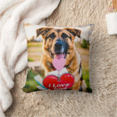 ジャーマンシェパードホールディング写真 クッション (ブランケット)