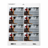 ジャーマンシェパード住所 シール (フルシート)