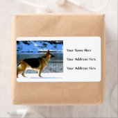 ジャーマンシェパード住所 シール (インサイチュ)