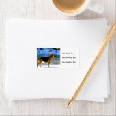 ジャーマンシェパード住所 シール (インサイチュ)