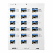 ジャーマンシェパード住所 シール (フルシート)