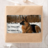 ジャーマンシェパード住所 シール (インサイチュ)