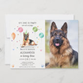 ジャーマンシェパード子犬の誕生日パーティー ピンクの写真 招待状 (正面)
