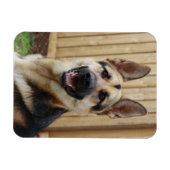 ジャーマンシェパード座 マグネット (横)