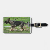 ジャーマンシェパード歩く ラゲッジタグ (正面横)