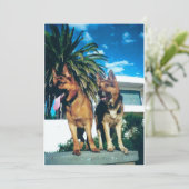 ジャーマンシェパード犬グループ 招待状 (スタンド正面)