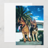 ジャーマンシェパード犬グループ 招待状 (正面/裏面)