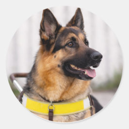 ジャーマンシェパード盲導犬卒業封筒シール ラウンドシール