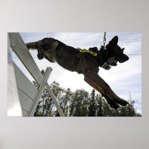 ジャーマンシェパード警察犬 ポスター