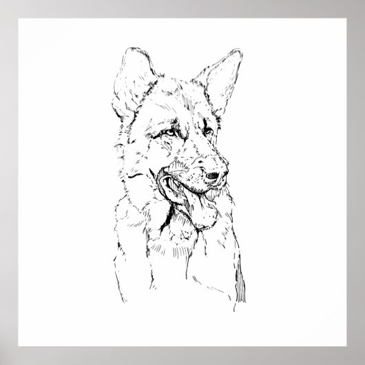 ジャーマンシェパード オリジナルイラスト ポスター (正面)