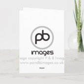 ジャーマンシェパード カード (裏面)