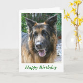 ジャーマンシェパード カード (黄色い花)