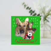 ジャーマンシェパード&トイトイのトナカイのフラットカード シーズンカード (スタンド正面)