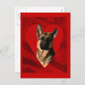 ジャーマンシェパード・バレンタイン シーズンポストカード (正面/裏面)