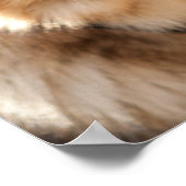 ジャーマンシェパード ポスター (角)