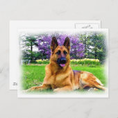 ジャーマンシェパード ポストカード (正面/裏面)