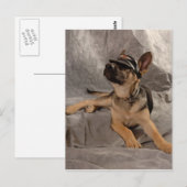 ジャーマンシェパード ポストカード (正面/裏面)