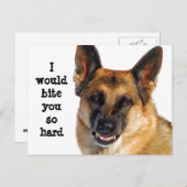 ジャーマンシェパード ポストカード (正面/裏面)