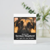 ジャーマンシェパード ポストカード (スタンド正面)