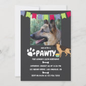 ジャーマンシェパード 誕生日フォト招待状 招待状 (正面)
