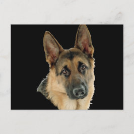 ジャーマン・シェパードによって愛される及び保護されて ポストカード