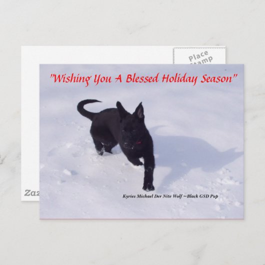 ジャーマン・シェパードのクリスマスの郵便はがき シーズンポストカード (正面/裏面)