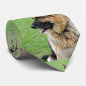 ジャーマン・シェパードのプロフィール ネクタイ (ロール)