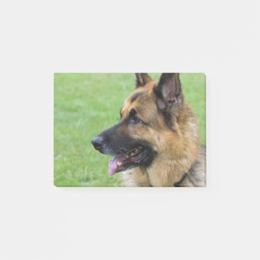ジャーマン・シェパードのプロフィール ポストイット (正面)