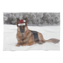 ジャーマン・シェパードの休日