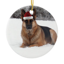 ジャーマン・シェパードの写真