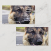 ジャーマン・シェパードの名刺の写真 名刺 (正面/裏面)