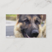 ジャーマン・シェパードの名刺の写真 名刺 (裏面)