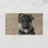 ジャーマン・シェパードの子犬の名刺 名刺 (裏面)