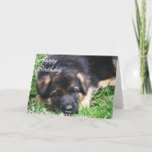 ジャーマン・シェパードの子犬-バースデー・カード カード (裏面)