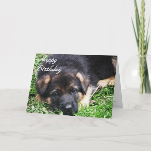 ジャーマン・シェパードの子犬-バースデー・カード カード (正面)