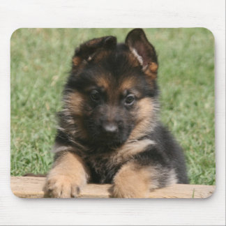ジャーマン・シェパードの子犬 マウスパッド
