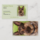 ジャーマン・シェパードの小犬の名刺 名刺 (正面/裏面)