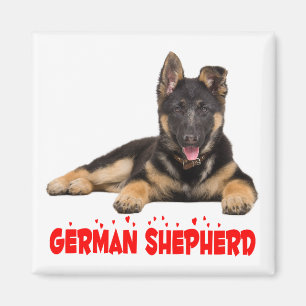 ジャーマン・シェパードの小犬赤い愛ハート マグネット