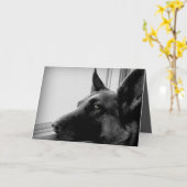 ジャーマン・シェパードの挨拶状 カード (黄色い花)