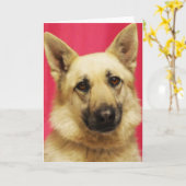 ジャーマン・シェパードの挨拶状 カード (黄色い花)