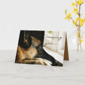 ジャーマン・シェパードの挨拶状 カード (黄色い花)