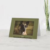 ジャーマン・シェパードの挨拶状 カード (裏面)