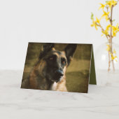 ジャーマン・シェパードの挨拶状 カード (黄色い花)